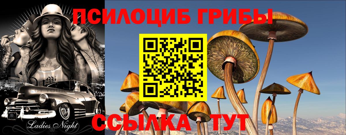 Галлюциногенные грибы Magic Shrooms Ухта