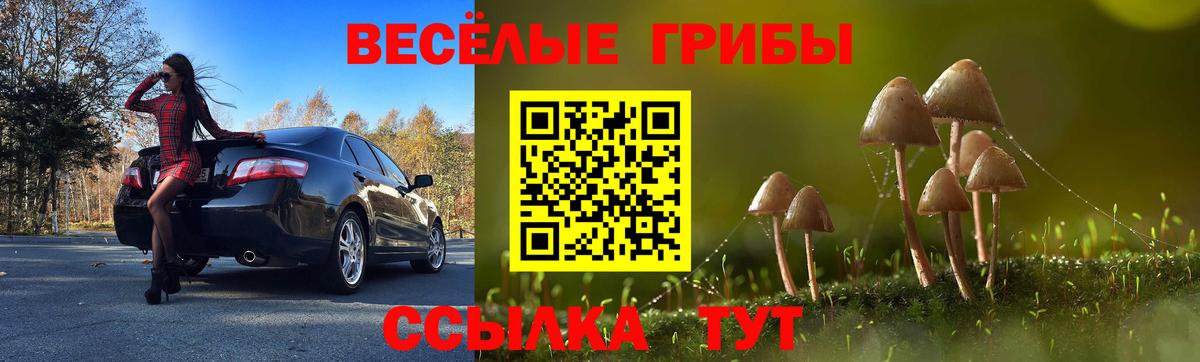 Галлюциногенные грибы Cubensis  Вход с VPN  Псилоцибиновые грибы мицелий  Ухта 